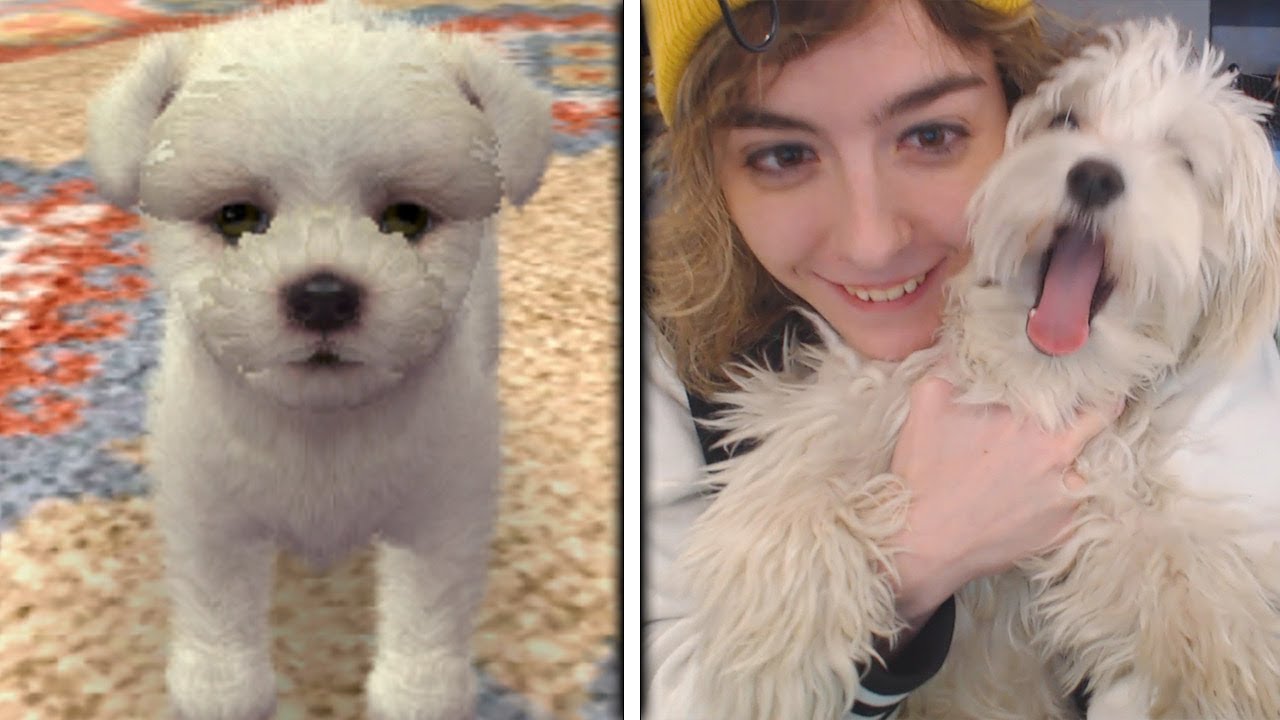 IL MIO CANE IN UN VIDEOGIOCO