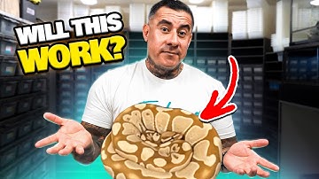 This Pairing May Or May Not work !