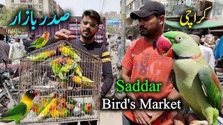 Sadar Birds Market Karachi 2024 Latest Update in Urdu Hindi | Talking Hand Tame Parrot New Video