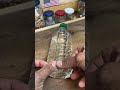 Magic drops keep your plant hydrated nonstop. Watch till the #planttok #gardeninghack #diygardening