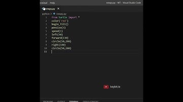 How programmers propose their crush