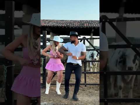 خصرک ک فرس عربي أصيل