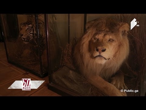 #დღემუზეუმში, სალომე დადუნაშვილთან - მწერალთა სახლი