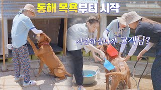 무릉도원이세요?(~‾⌣‾)~ 순둥이 동해 목욕시키는 태연&써니&수영 | 소시탐탐 2회 | JTBC 220712 방송