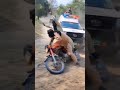 Crime story 1 pakistan punjabpolice viral trending bhakkarpunjab police like foryou