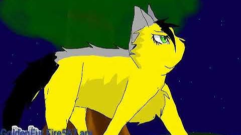 Ha OC MAP Hello kitty {Part 2}