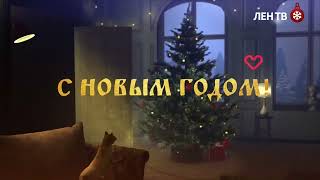 Новогодняя заставка канала "Лен ТВ 24" (Санкт-Петербург, 31.12.2021)