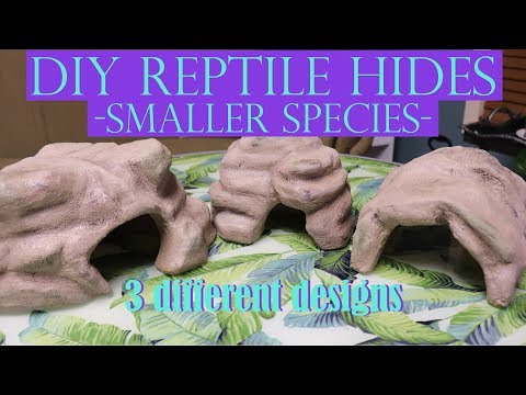 DIY REPTILE HIDES For Smaller Species | 3 Different Designs!