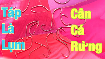 Lưỡi câu cá lóc siêu nhạy, cân mọi loại cá, táp là lụm, 0913260614 zalo, anh bảy thép