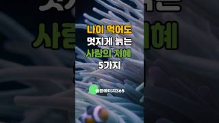 나이 들어도 추하지 않게 살아가는 삶의 지혜 5가지 #노년의삶 #노후정보 #삶의지혜 #명언