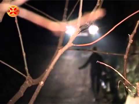 სიმართლე ძალადობის შემთხვევების ბრალდებაზე , საპატრიარქოს ბავშვთა სახლებში