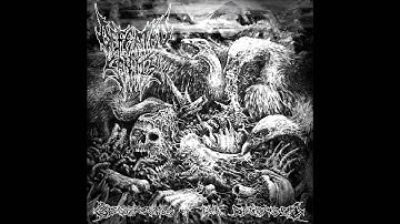 Defeated Sanity - Generosity of the Deceased