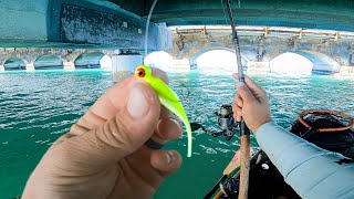 Florida Keys Fishing - Busted Out The Crappie Jigs On Little Bridges (Every Cast & Every Fish Edit)