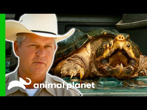 Game Warden Deals