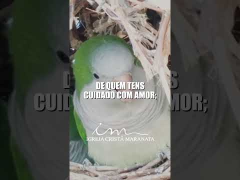 🎶O Deus a quem servimos