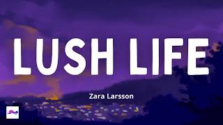 Lush Life 1 Hour - Zara Larsson