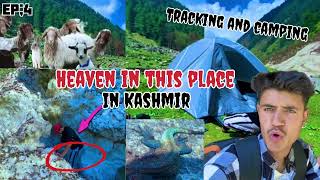 Ep:4 heaven in this place in Kashmir/realxing in nature/ tracking and camping #nature #mountains