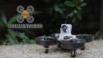 NEWBEEDRONE HUMMINGBIRD
