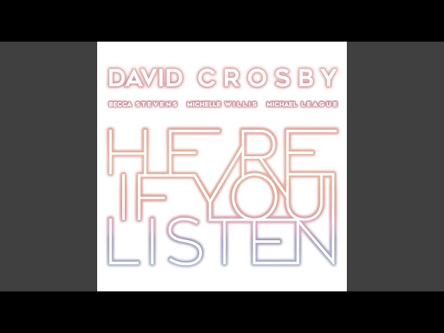 David Crosby - Your Own Ride