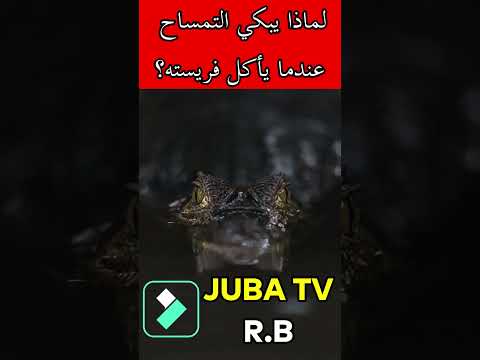 ما سبب نزول دموع التماسيح