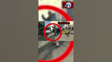 LAPD releases new video of deadly police shooting near USC