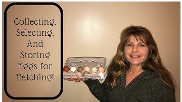 Collecting, Selecting,  and Storing Eggs for Hatching - Hatching Eggs