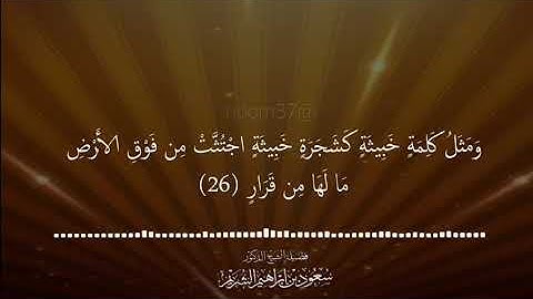 تلاوة من سورة إبراهيم   فضيلة الشيخ #سعود_الشريم