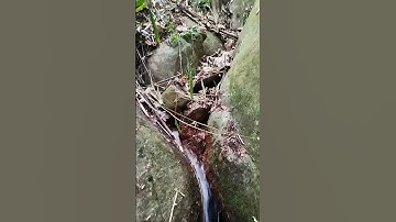 Khám phá thác nước đẹp trong rừng sâu