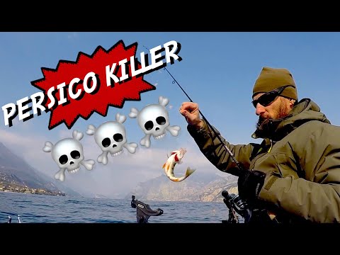 Video: Come Catturare Il Pesce Persico Con Un Jig