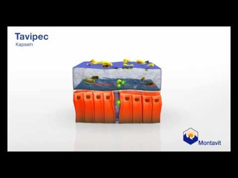 Тавипек - YouTube