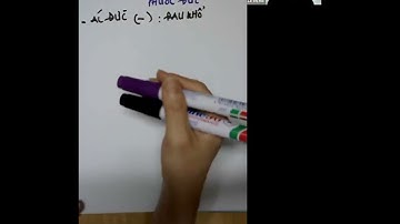 K02 - VIDEO 3: HỆ QUY CHIẾU CẤU TRÚC CON NGƯỜI (tt)