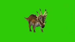 Styracosaurus Green Screen - 1080P Hd - 3D Mannequins Green Screen