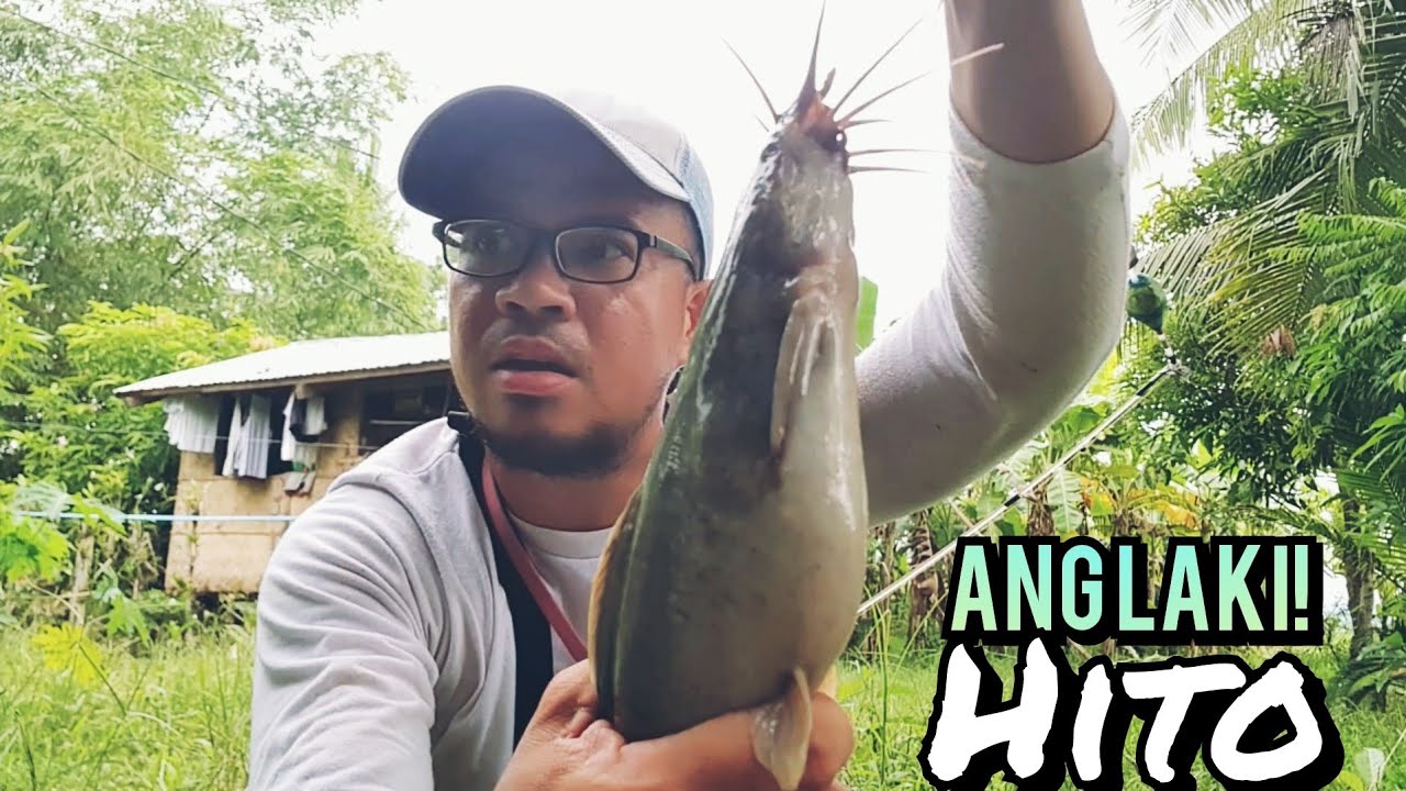 SA GILID NG PALAYAN MALALAKI TALAGA MGA ISDA | BUHAY PROBINSYA