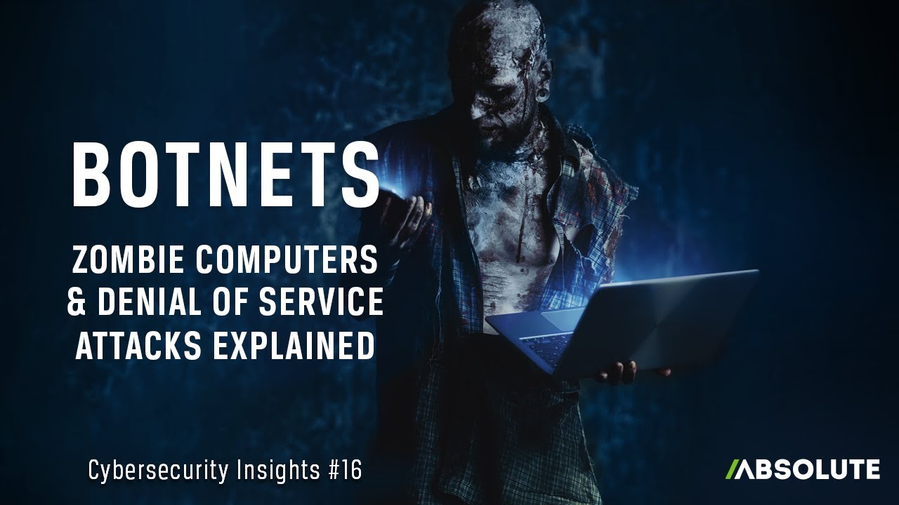 Zombie Computers, Botnets, and Denial of Service Attacks | Cybersecurity Insights #16