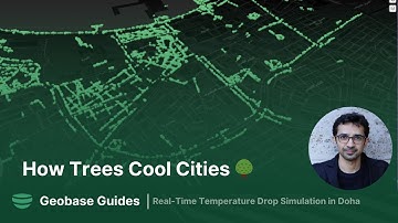 Cooling the City  How Trees Lower Temperatures in Urban Areas