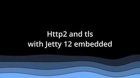 Jetty 12 embedded http2 and tls