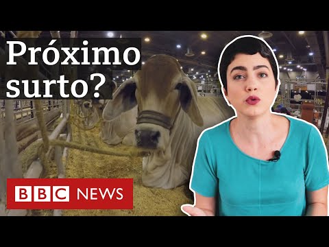 Vídeo: O Cientista Identificou A Causa Provável Da Próxima Pandemia - Visão Alternativa