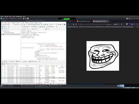 Résolution de Lab: Remote code execution via web shell upload avec Owasp Zap.
