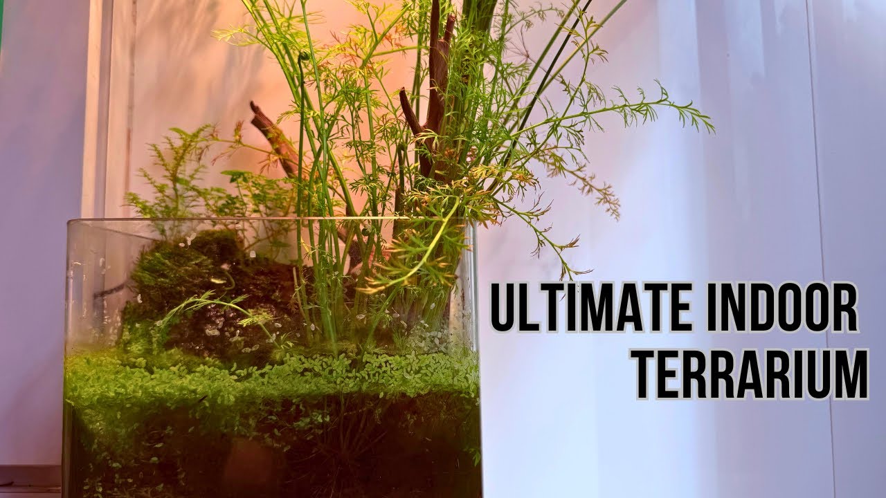 The ultimate nano terrarium indoor pond