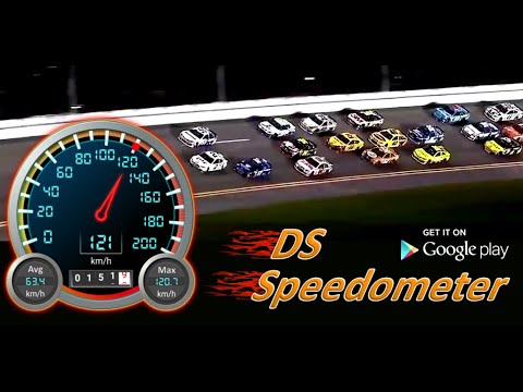 DS Speedometer & Odometer