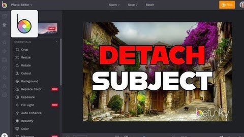 How to Detach Subject in Befunky 2025?