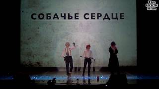 : Cosplay- -   - Bungou Stray Dogs [2  AniCon 2018 (08.07.2018)]
