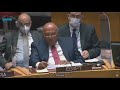 كلمة وزيرة خارجية مصر سامح شكري أمام جلسة مجلس الأمن الدولي بشأن سد النهضة
