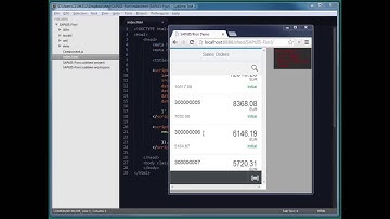 SAP CodeTalk: SAPUI5 & Fiori - Part #2
