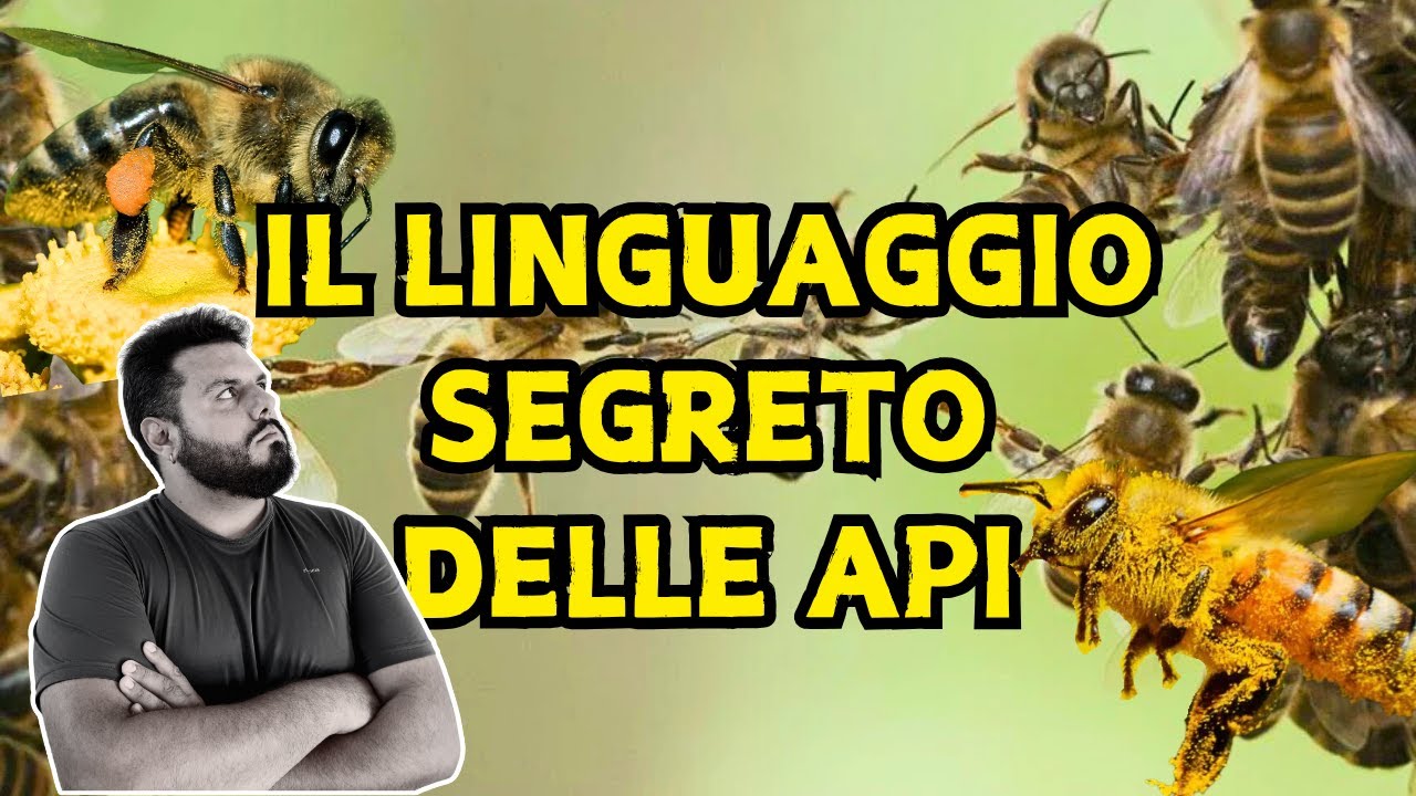 Il linguaggio segreto delle api: danze, vibrazioni e profumi - YouTube