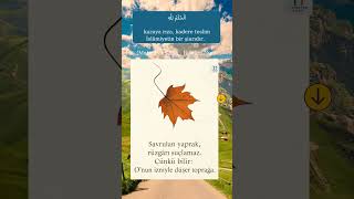 Kadere Rıza Gösteren Kederden Emin Olur. Rnk