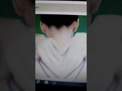 Video 26 tháng 12, 2022 - youtube