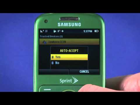 Pairing a Bluetooth Accessory plus Email on the Samsung Reclaim