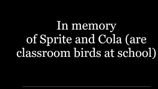 Me And Coolcatzgaming Blowing Each Other Up With Tnt In Minecraft
