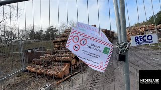 Download Lagu Schokkend! Bomenkap in Noordwijkerhout vrijdag 30 januari 2026 MP3